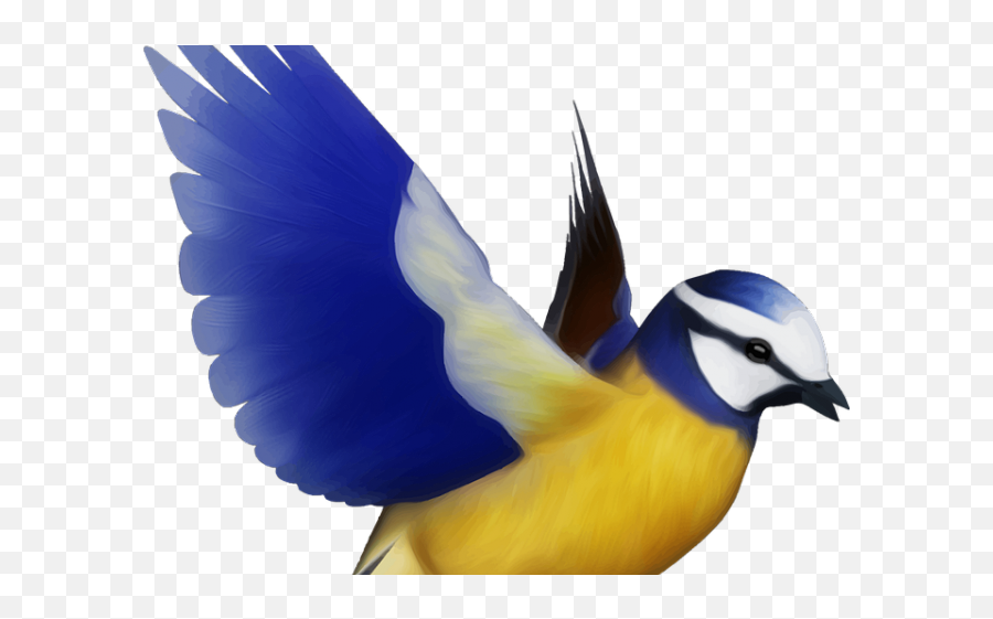 Flying Bird Clipart Png - Colorful Bird Flying Png Bird Png,Bird Flying Png