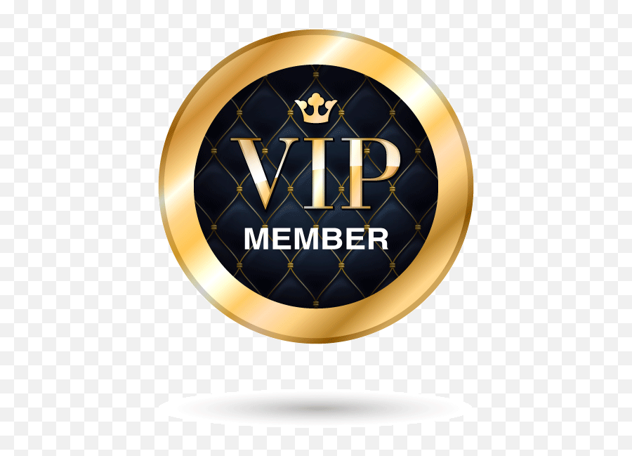 Download 536 610 In Vip By T Shirt Roblox Vip Full Emergency Action Plan Png Vip Png Free Transparent Png Images Pngaaa Com - roblox vip accounts