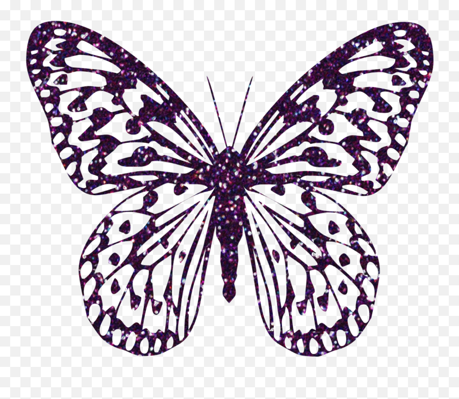 Download Hd Butterfly Clipart Zebra - Butterfly Png,Butterfly Png Clipart