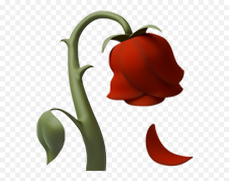 Clipart Rose Dead Transparent - Iphone Rose Emoji Png,Dead Rose Png