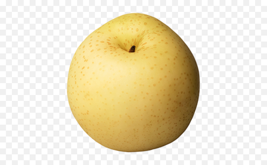 Download Asian Pear Png Free - Asian Pear Png,Pear Png