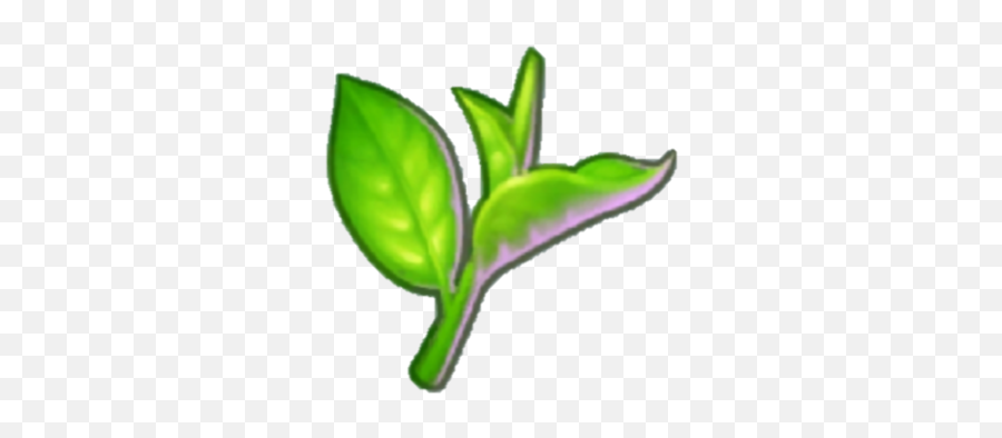 Tea Leaf - Clip Art Png,Tea Leaves Png