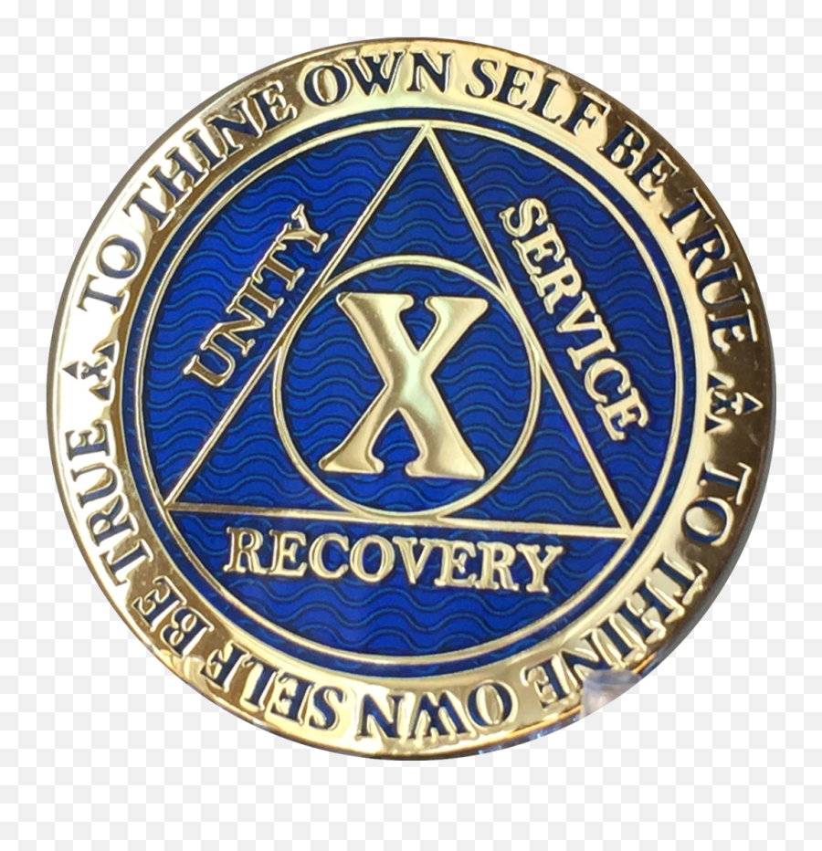 10 Year Aa Medallion Reflex Blue - Emblem Png,Glitter Force Logo