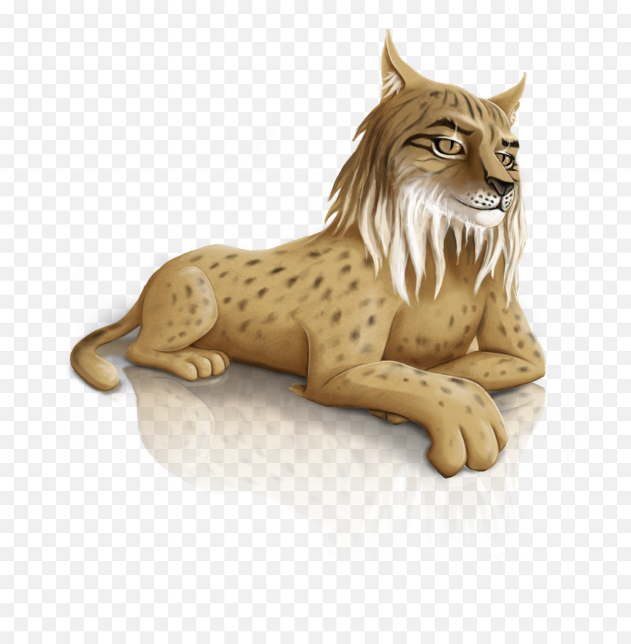 Iberian Lynx Png Transparent Image - Png Of Iberian Lynx,Lynx Png