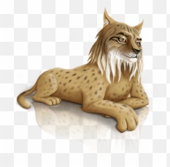 Iberian Lynx Png Transparent Image - Png Of Iberian Lynx,Lynx Png