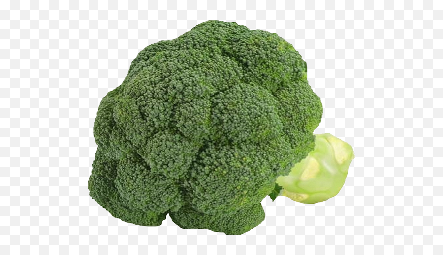 Brocoli Sur Fond Transparent - Broccoli Png,Brocoli Png