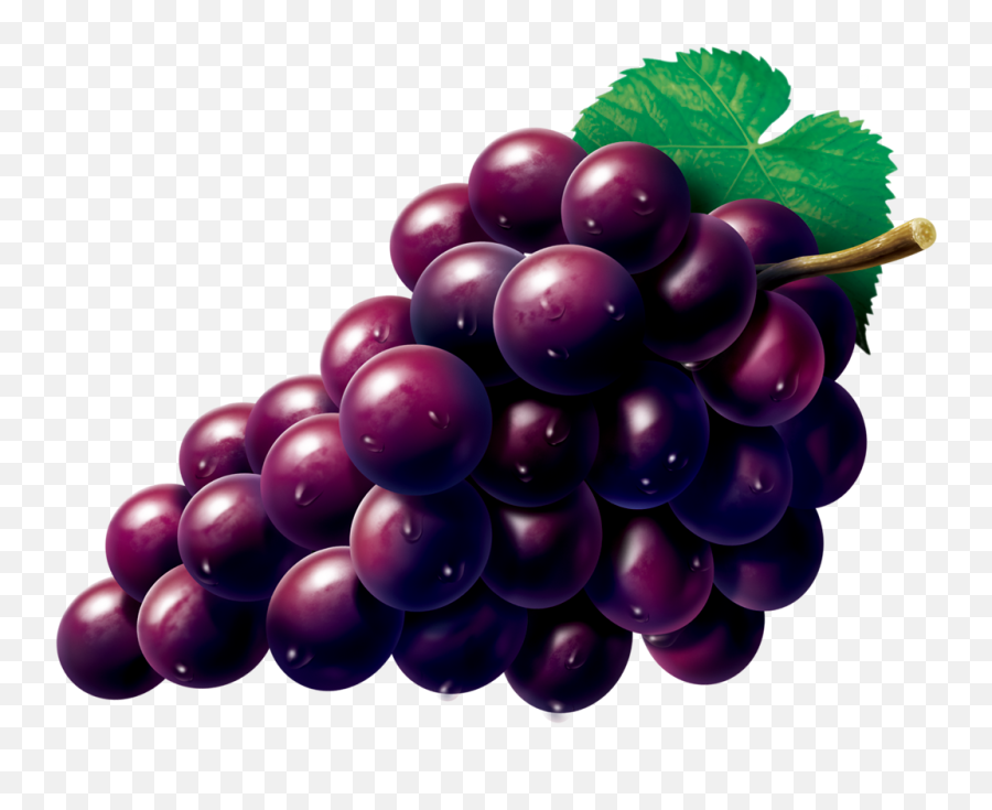 Grape Zante Currant Seedless Fruit - Grapes Vector Image Png,Grape Png
