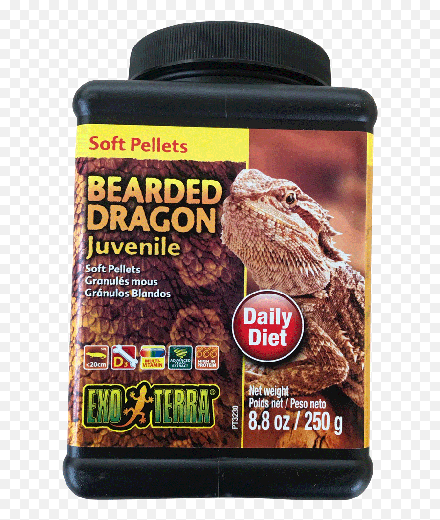 Best Online Reptile Food Supplier Dry Exo Png Bearded Dragon