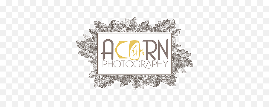 About Tiffany Acorn Photography - Decorative Png,Boarder Png