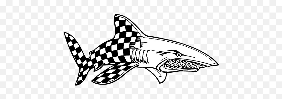 Join Team Racing Shark - Great White Shark Png,Cartoon Shark Png