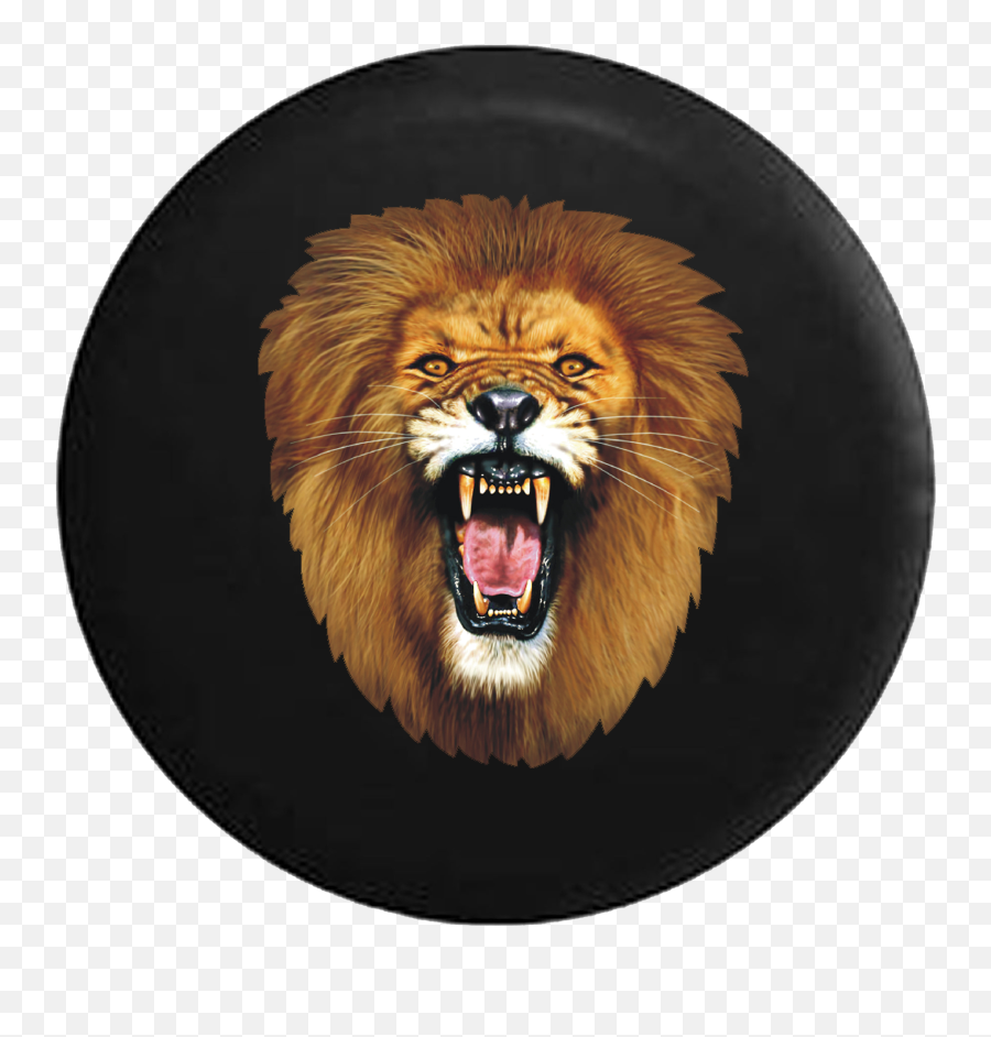 Download Golden African Lion Roaring Rv Camper Spare Tire - Roaring Lion Head Transparent Png,Lion Roar Png