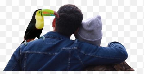 Couple And Toucan Rico Tours - Couple Waiting Png,Toucan Png