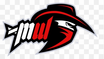 Most Wanted Call Of Duty Esports Wiki Fandom - Logo png
