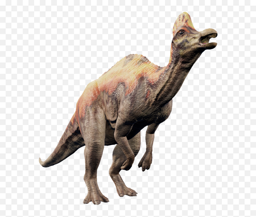 Jurassic World Evolution Wiki - Jurassic World Evolution Corythosaurus Png,Evolution Png