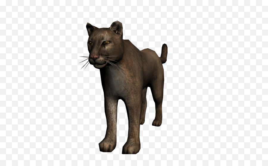 Demi The Cougar - Mountain Lion Red Dead Redemption Full Transparent Animaux Rdr2 Png,Mountain Lion Png