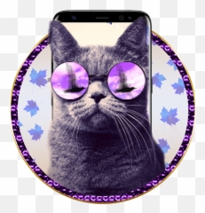 3d Purple Sunglass Cat Theme Apk 1 - Style png