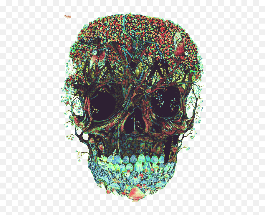 Gif Trippy Drugs Trip Skull Mygif Skeleton Glitch 1knotes U2022 - Skeleton Sugar Skull Graphic Png,Skeleton Gif Transparent