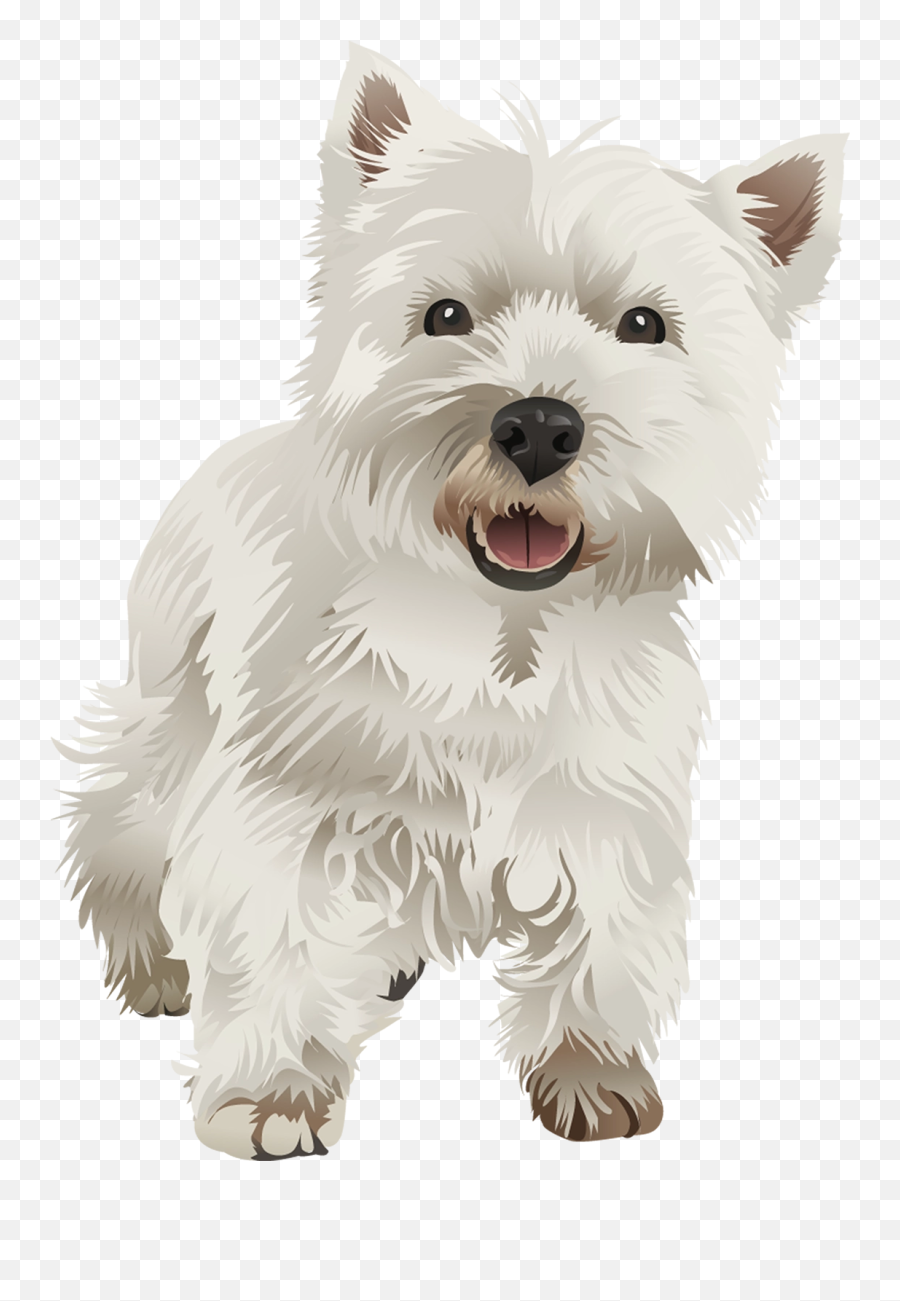 Vibrant Vector - West Highland Terriers Png,Animal Den Icon