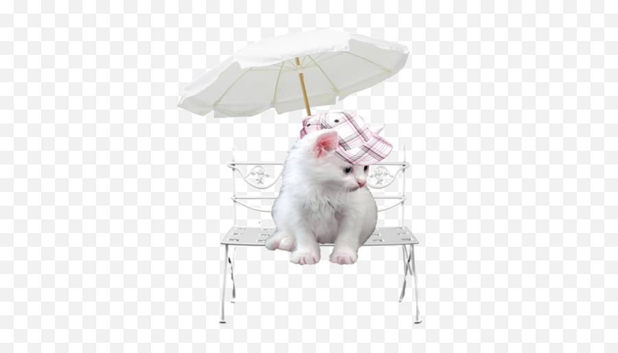 Tubes Chats - Beach Umbrella And Chair Png,Tubes Png