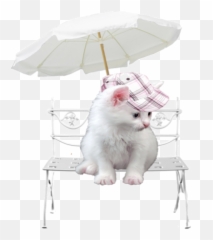 Tubes Chats - Beach Umbrella And Chair Png,Tubes Png