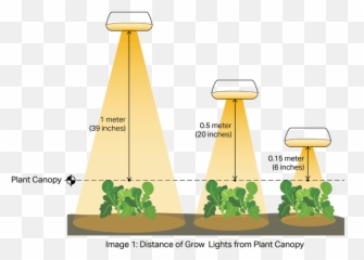Led Grow Lights Distance For Cannabis U0026 Other Plants Bios - Led Chart png
