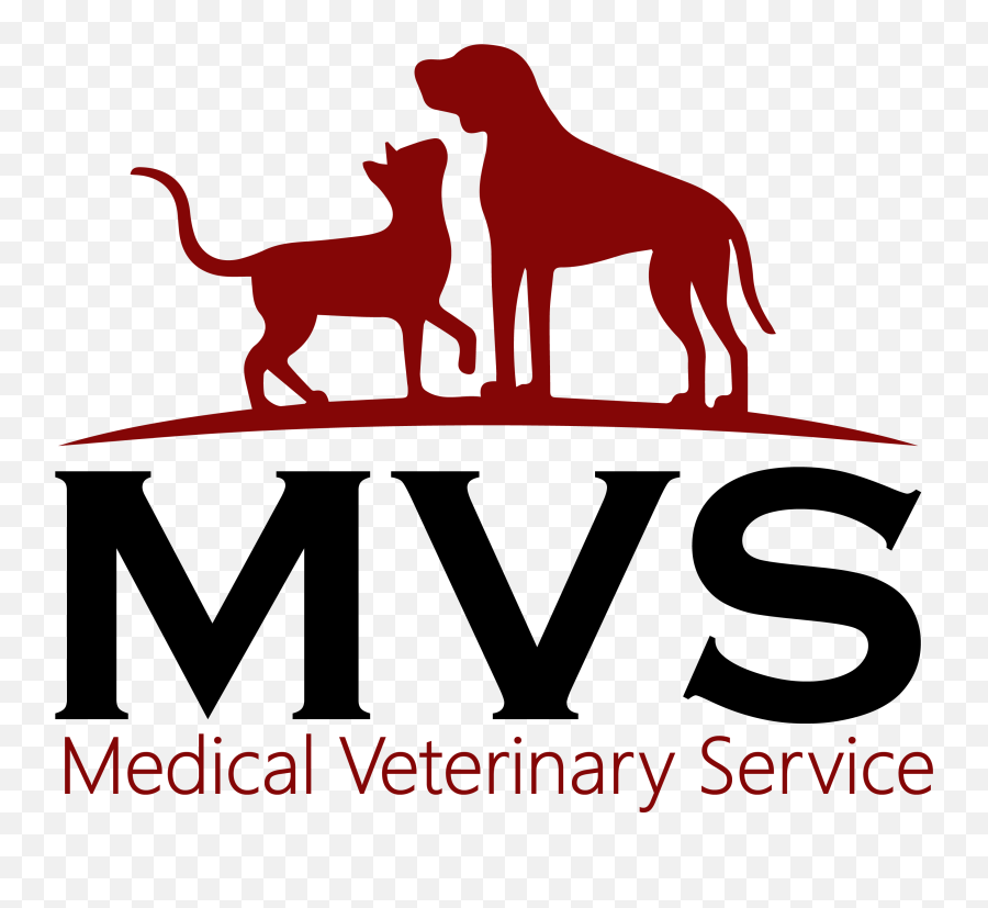 Medical Veterinary Service Veterinarian In Midland Texas - Guard Dog Png,Texas Silhouette Png