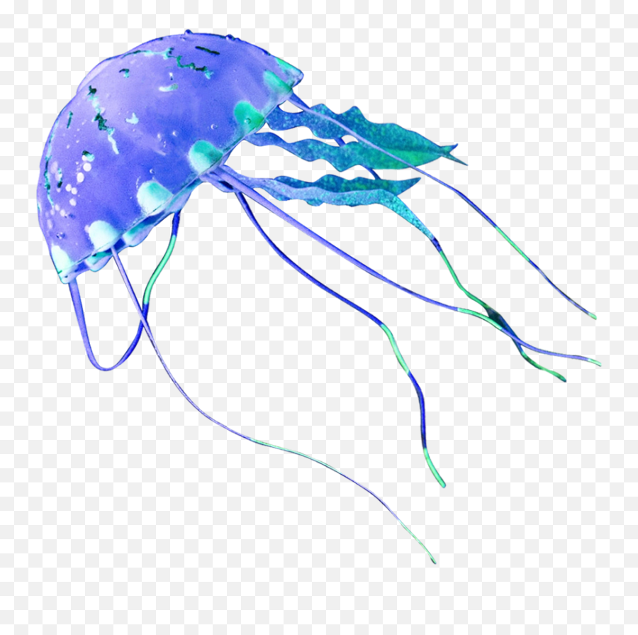 Jellyfish Png Transparent Clipart - Png,Transparent Jellyfish