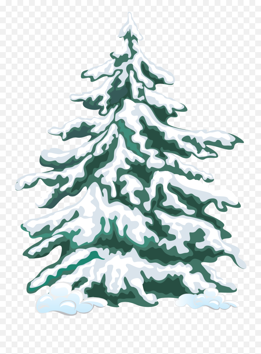 Library Of Evergreen Tree With Snow Jpg - Christmas Tree Vector Snow Png,Snowy Trees Png