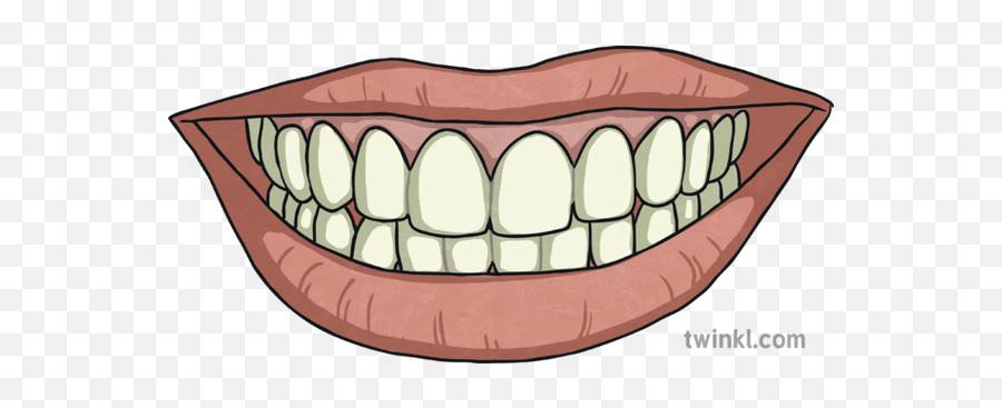 Smiling Mouth With Teeth Science Ks2 Illustration - Twinkl Tongue Png,Smiling Mouth Png