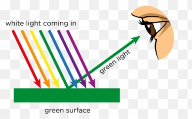 Opaque And Transparent Substances Visible Light Siyavula - Light Absorption And Reflection Png,White Light Transparent