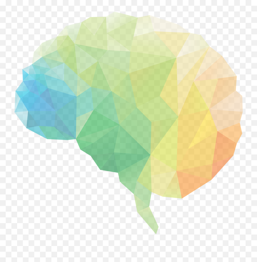 Download Brain Circle Leaf Human Neuroscience Png Free Photo - Cute Transparent Background Brain Clipart,Human Brain Png
