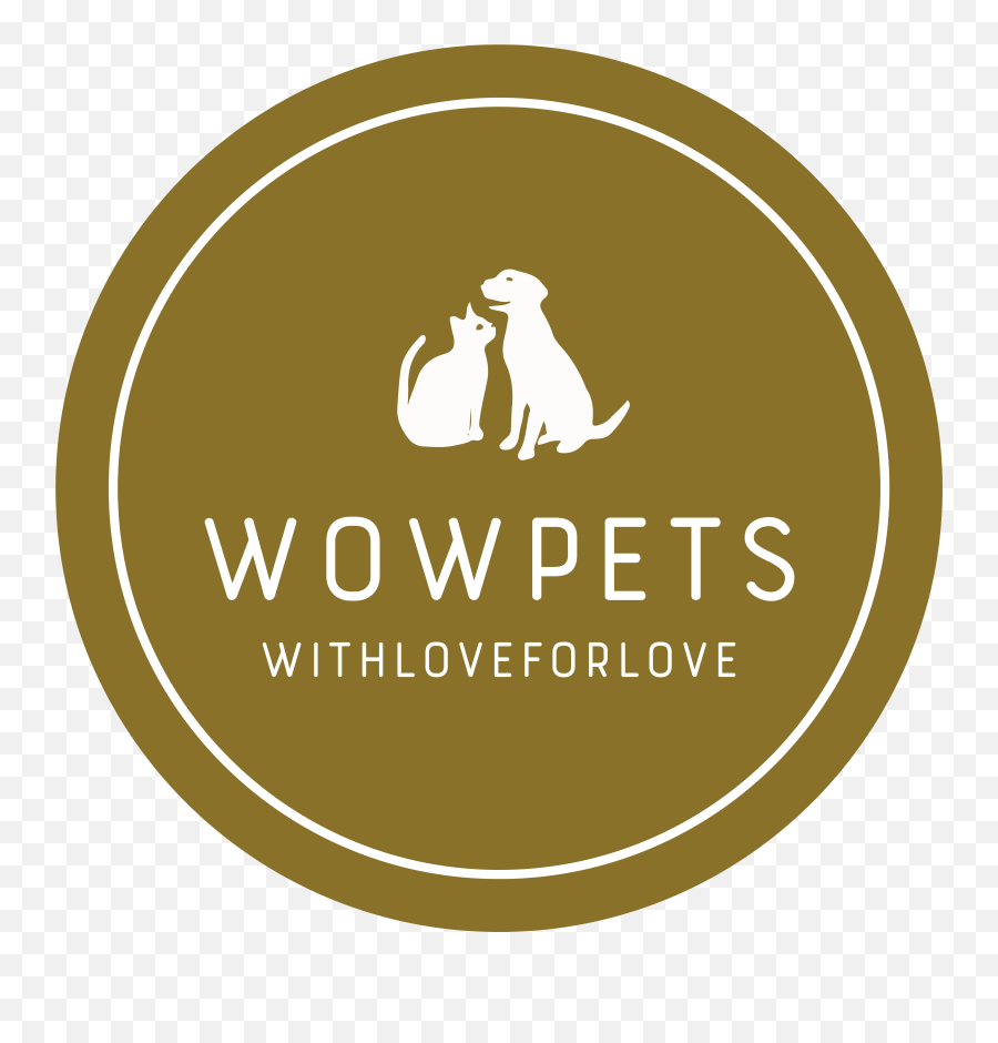 Wowpets - Language Png,Instagram Bad Apple Flandre Icon