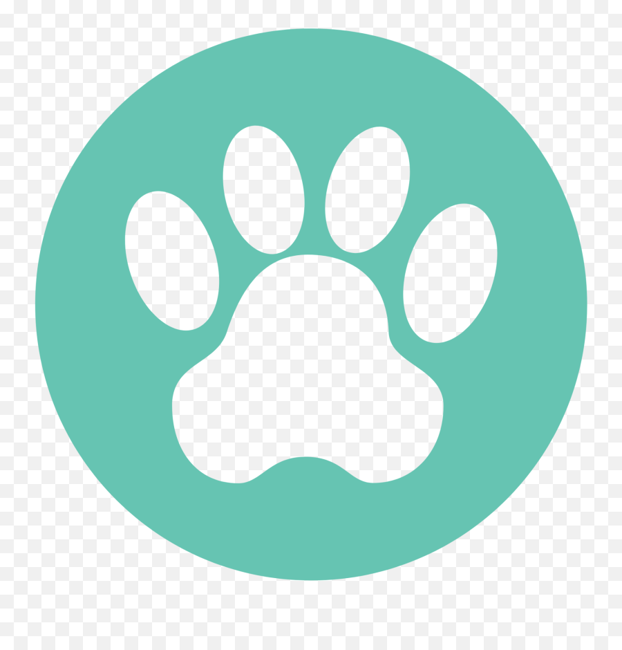 Dog Walking Pet Sitting And Vacation Care In Edison - Vector Graphics Png,Watched Icon