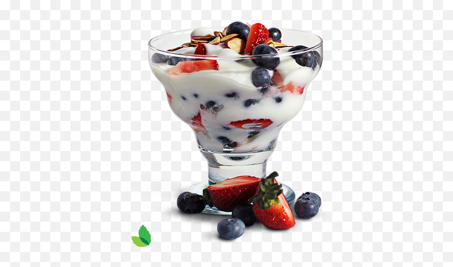 Outosego - Yogurt And Berries Png,Yogurt Png