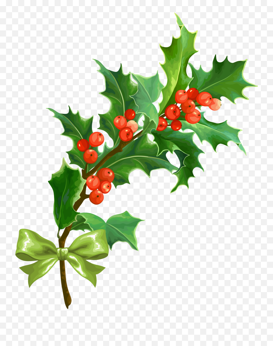 Holly Png Transparent - Christmas Holly Transparent Background,Christmas Holly Png