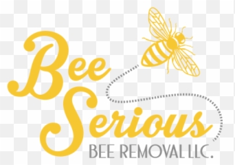 Wasp Removal Services - Language png