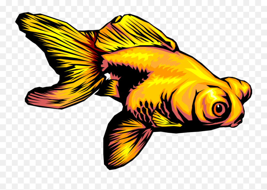 Tropical Goldfish - Vector Image Fish Eating Algae Gif Png,Goldfish Icon