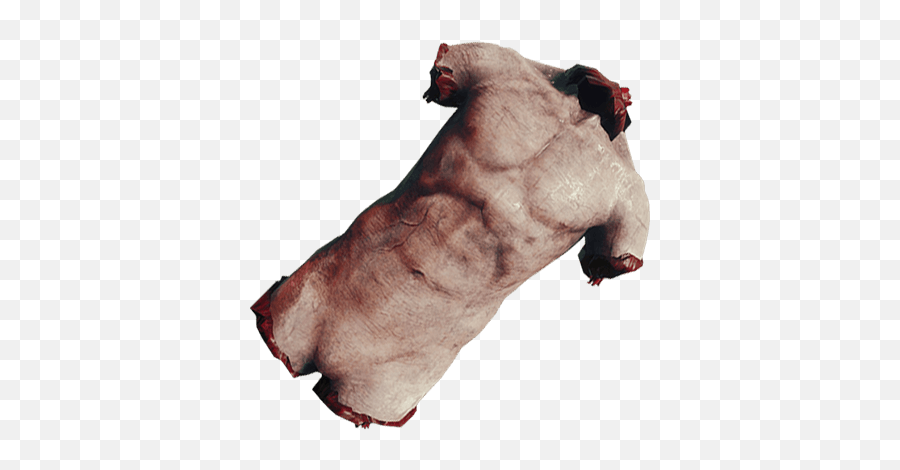 Torso - Torso Png,Torso Png