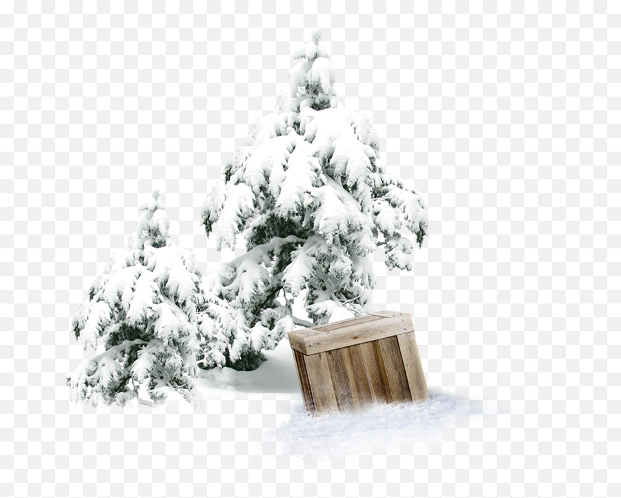Winter Pine Wooden Box Png Download - Pine Cover Snow Tree Transparent,Snow Storm Png