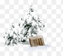 Winter Pine Wooden Box Png Download - Cover Snow Tree Transparent