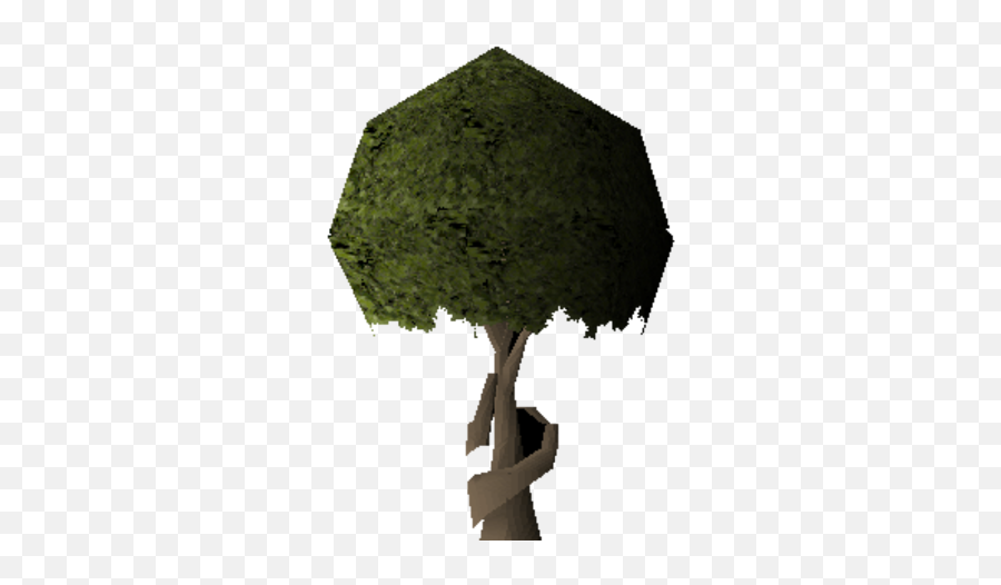 Swaying Tree Old School Runescape Wiki Fandom - Christmas Tree Png,Old Tree Png