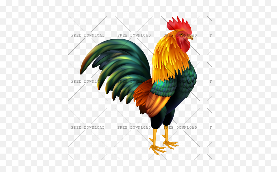 Cock Chicken Rooster Png Image With Transparent Background Feather
