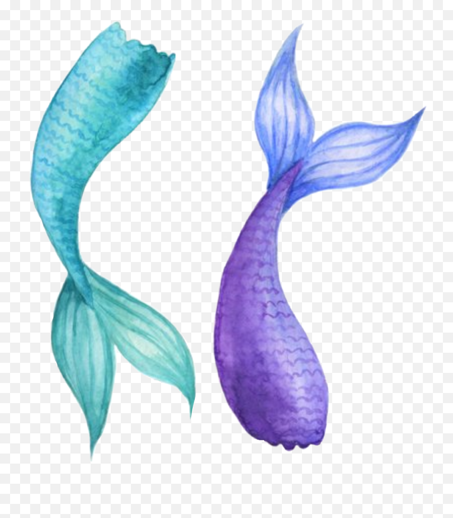 Watercolor Mermaidtail Mermaid Tail - Mermaid Tail Watercolor Png,Mermaid Tail Png