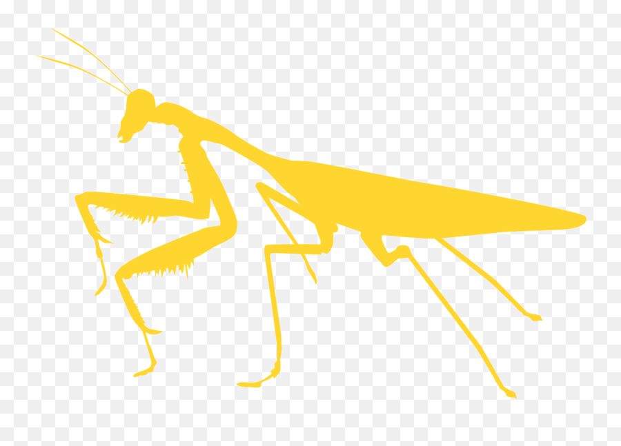 Mantis Silhouette - Free Vector Silhouettes Creazilla Mantis Png,Mantis Png