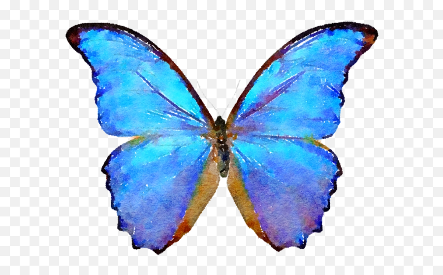 Png Blue Butterfly Clipart - Butterfly Png,Butterfly Png Clipart