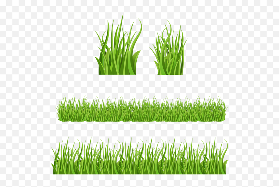 Easter Basket Grass Png Bild Mit Gras - Zeichentrick Gras,Easter Grass Png