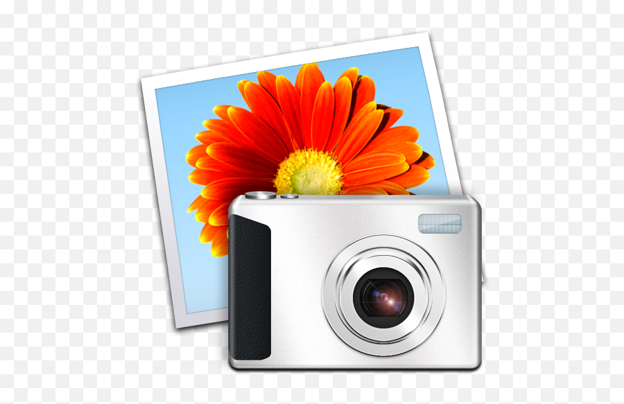 Windows Live Gallery Icon - Windows Live Png,Gallery Png