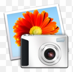 Windows Live Gallery Icon - png