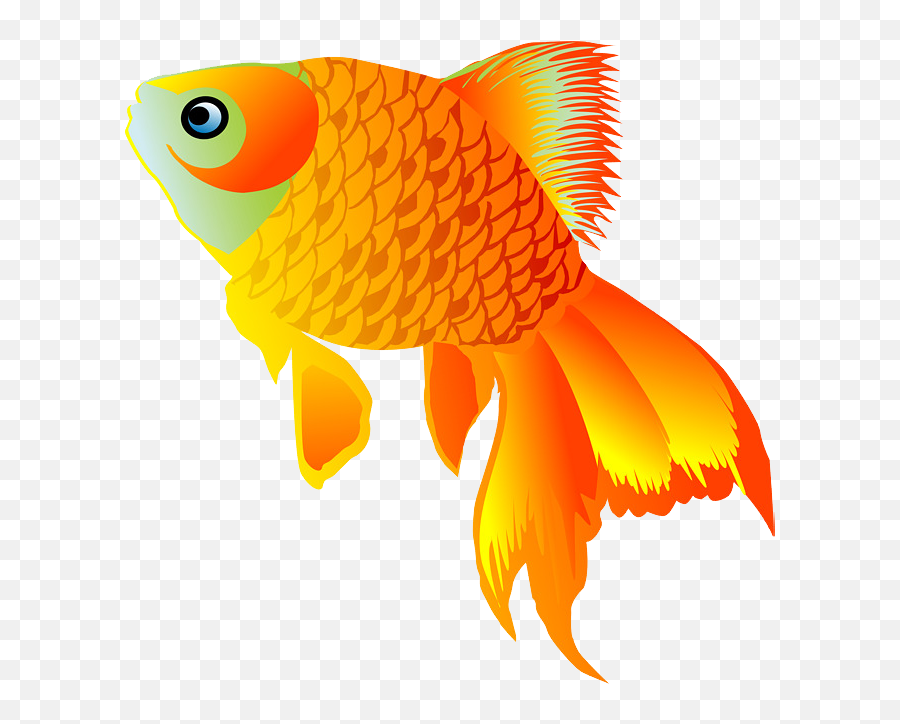 Download Goldfish Png Image With No - Transparent Background Gold Fish Png,Goldfish Transparent Background