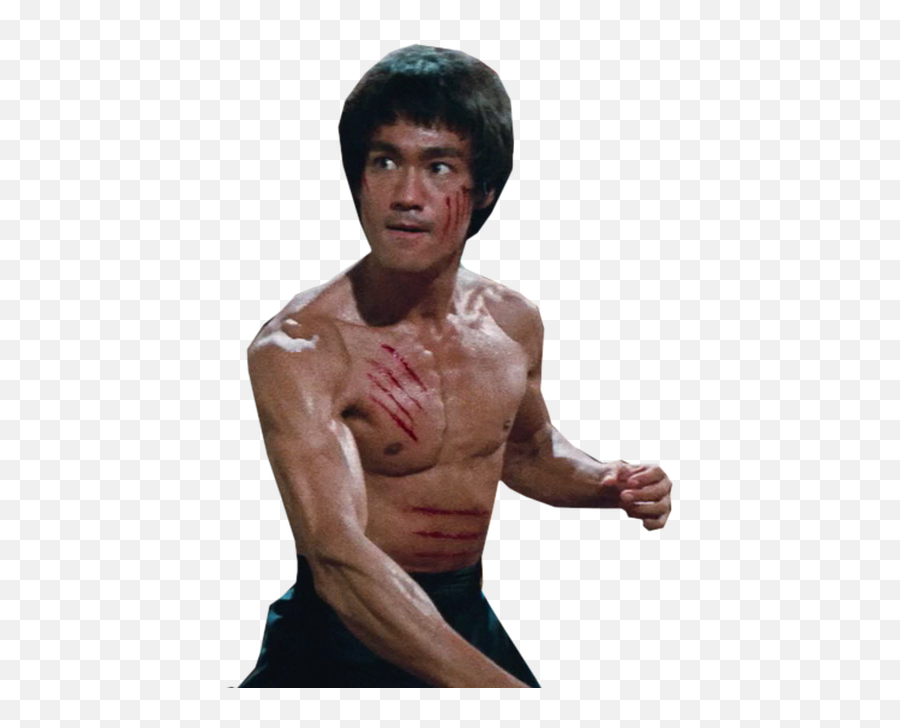 Fullscreen Page - Transparent Bruce Lee Png,Bruce Lee Png